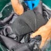 dreckiger-neopren-richtig-waschen-neoprenwaschmittel_800_reduziert